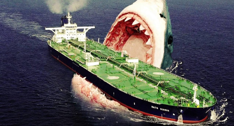 Cá mập Megalodon có thể đạt kích cỡ khổng lồ và hung dữ như vậy, tại sao?