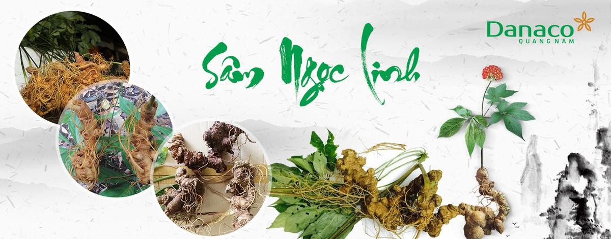 SÂM NGỌC LINH DANACO QUẢNG NAM - THƯƠNG HIỆU SỨC KHỎE ĐƯỢC NGƯỜI TIÊU DÙNG TIN CẬY !!