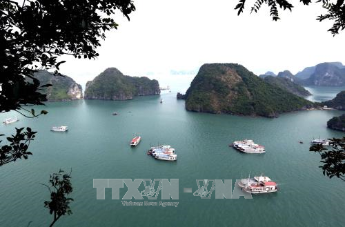 Phát động triển lãm Ảnh nghệ thuật Việt Nam 2018