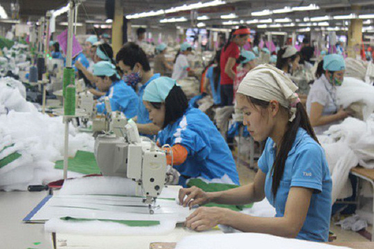 Không có căn cứ pháp luật
