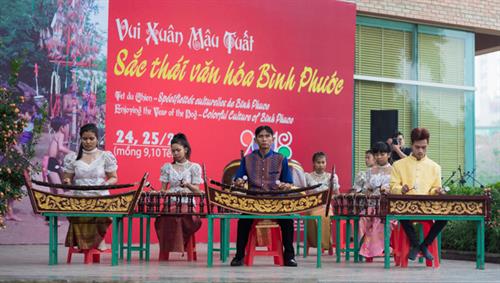 Tổ chức chương trình "Vui xuân Mậu Tuất: Sắc thái văn hóa Bình Phước"