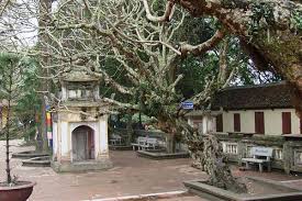 CHIỀU KIẾP BẠC