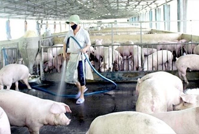 Cơ hội “đổi đời” nông dân Việt?